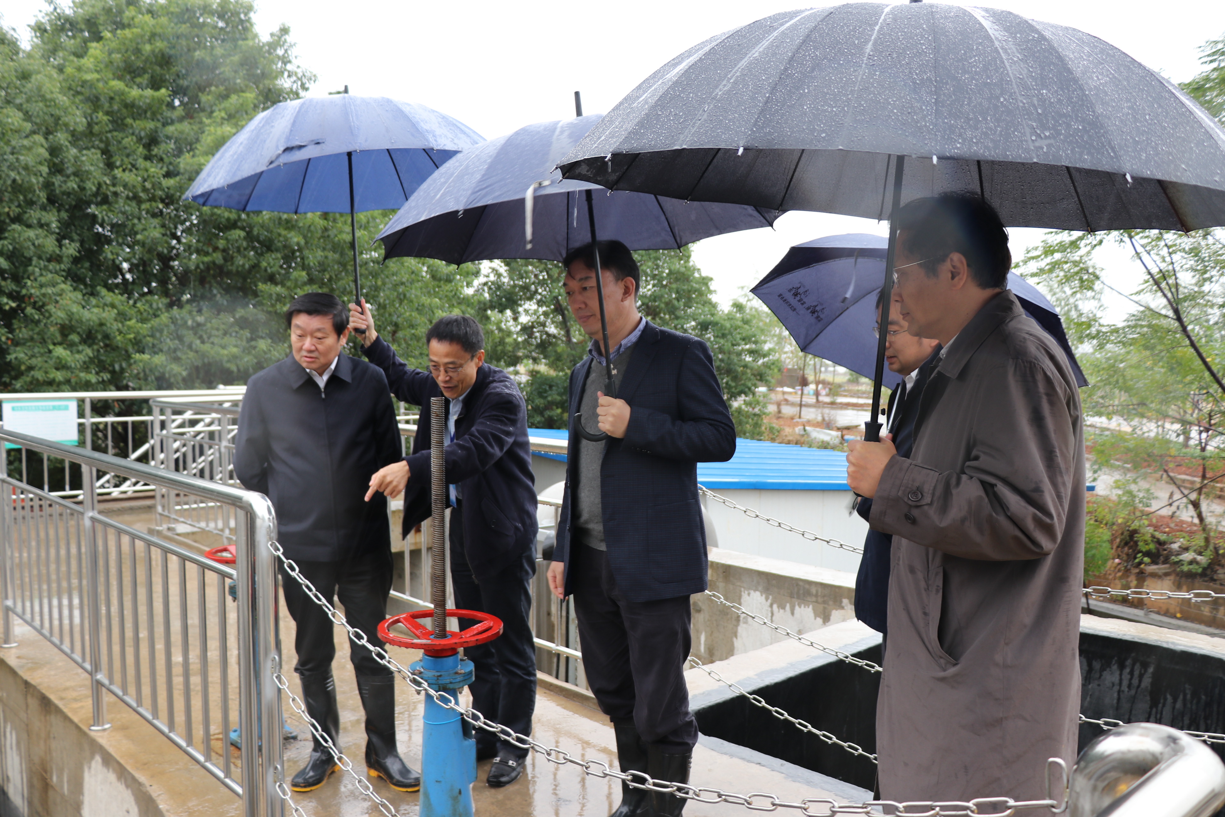 汪祥旺副市长（左一）调研澳门welcome登录路线汤逊湖项目.JPG